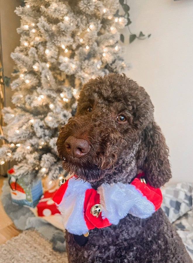 Midlee White/Red Dog Christmas Plush Jingle Bell Collar (Large)- Holiday Neckware - Image 5